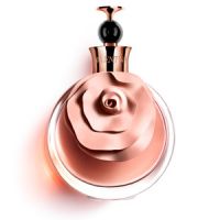 Изображения нет