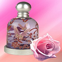 Изображения нет