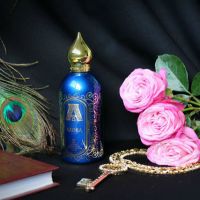 Изображения нет