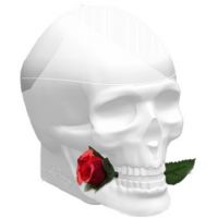 Ed Hardy Skulls & Roses 