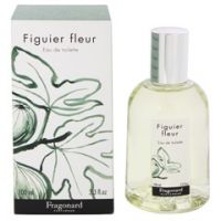 Fragonard Figuier Fleur